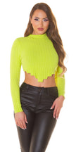 Sexy Crop Jumper