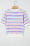 Purple Abstract Striped Knit Short Sleeve Sweater