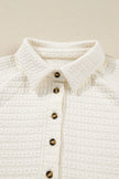 Beige Pineapple Textured Half Button Collared Sweatshirt
