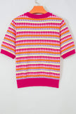 Purple Abstract Striped Knit Short Sleeve Sweater