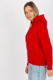  Sweatshirt model 174735 Rue Paris 